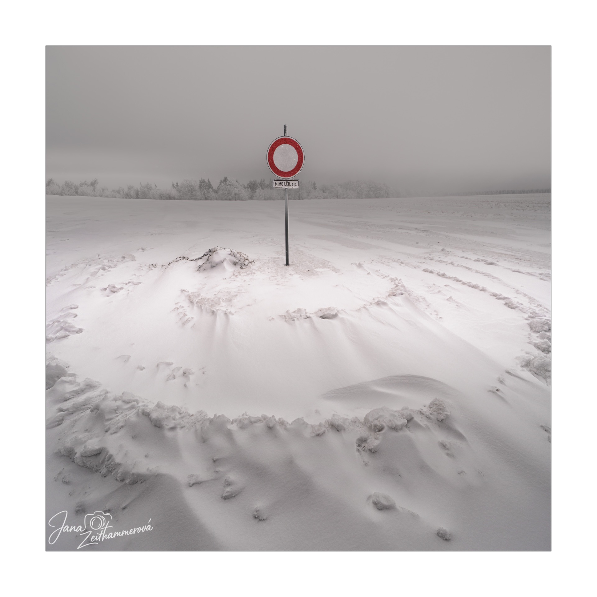 Portrait of Czech landscape photographer Jana Zeithammerová